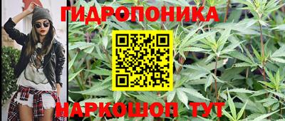ALPHA PVP Славгород