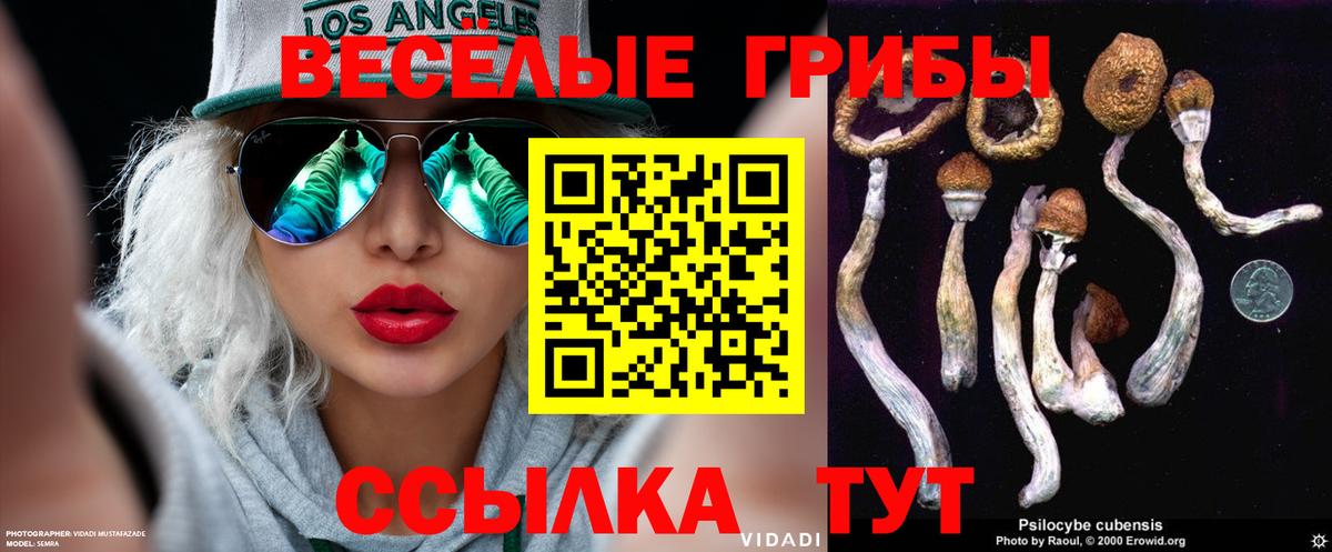 Псилоцибиновые грибы Cubensis Саратов