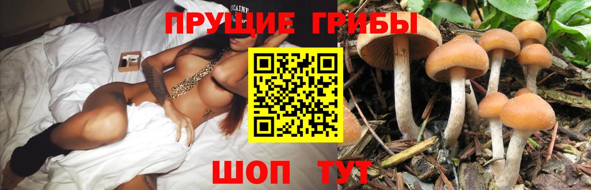 Псилоцибиновые грибы ЛСД  Вход с VPN  Саратов 